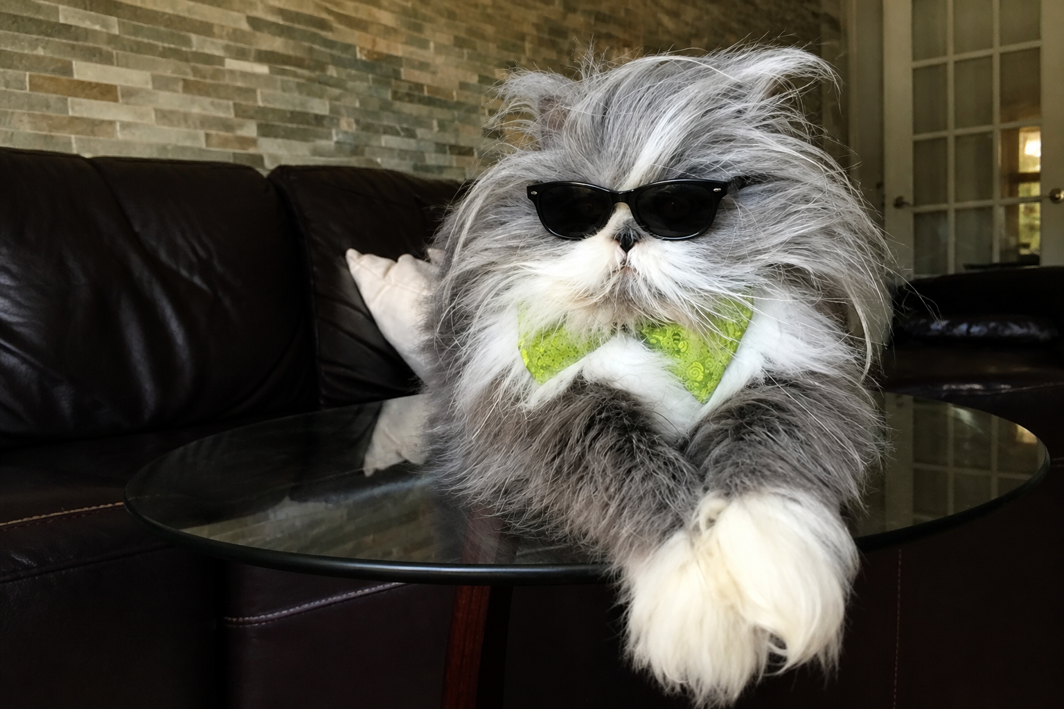 Atchoum in sunglasses